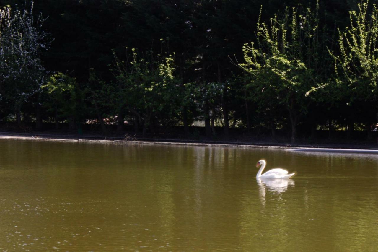 אמאריס Casa Do Lago מראה חיצוני תמונה